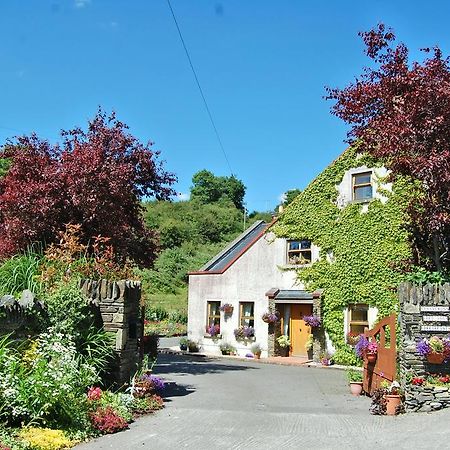 Tinnycross House B&B Ballymore Eustace Kültér fotó