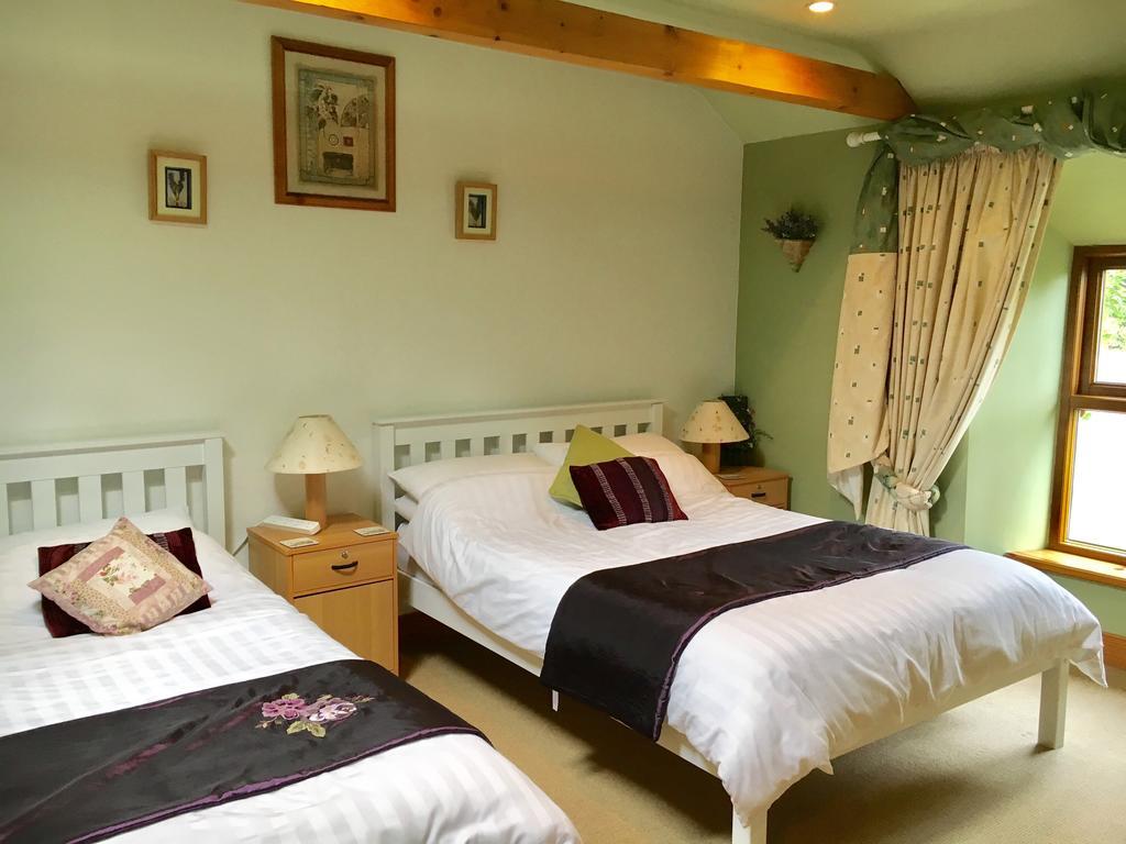 Tinnycross House B&B Ballymore Eustace Kültér fotó