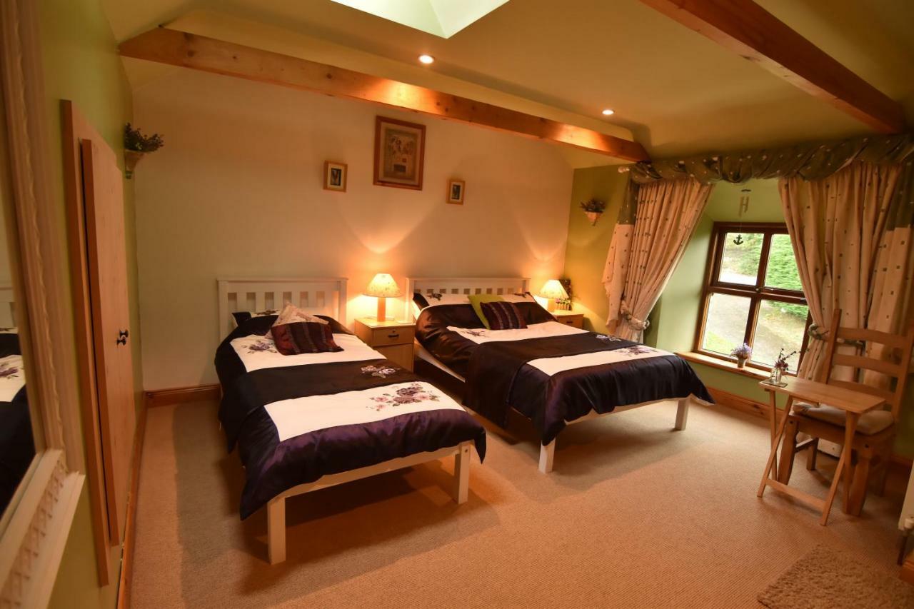Tinnycross House B&B Ballymore Eustace Kültér fotó