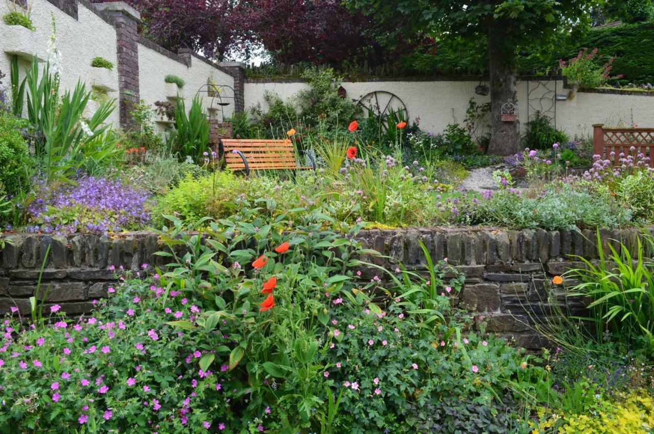 Tinnycross House B&B Ballymore Eustace Kültér fotó