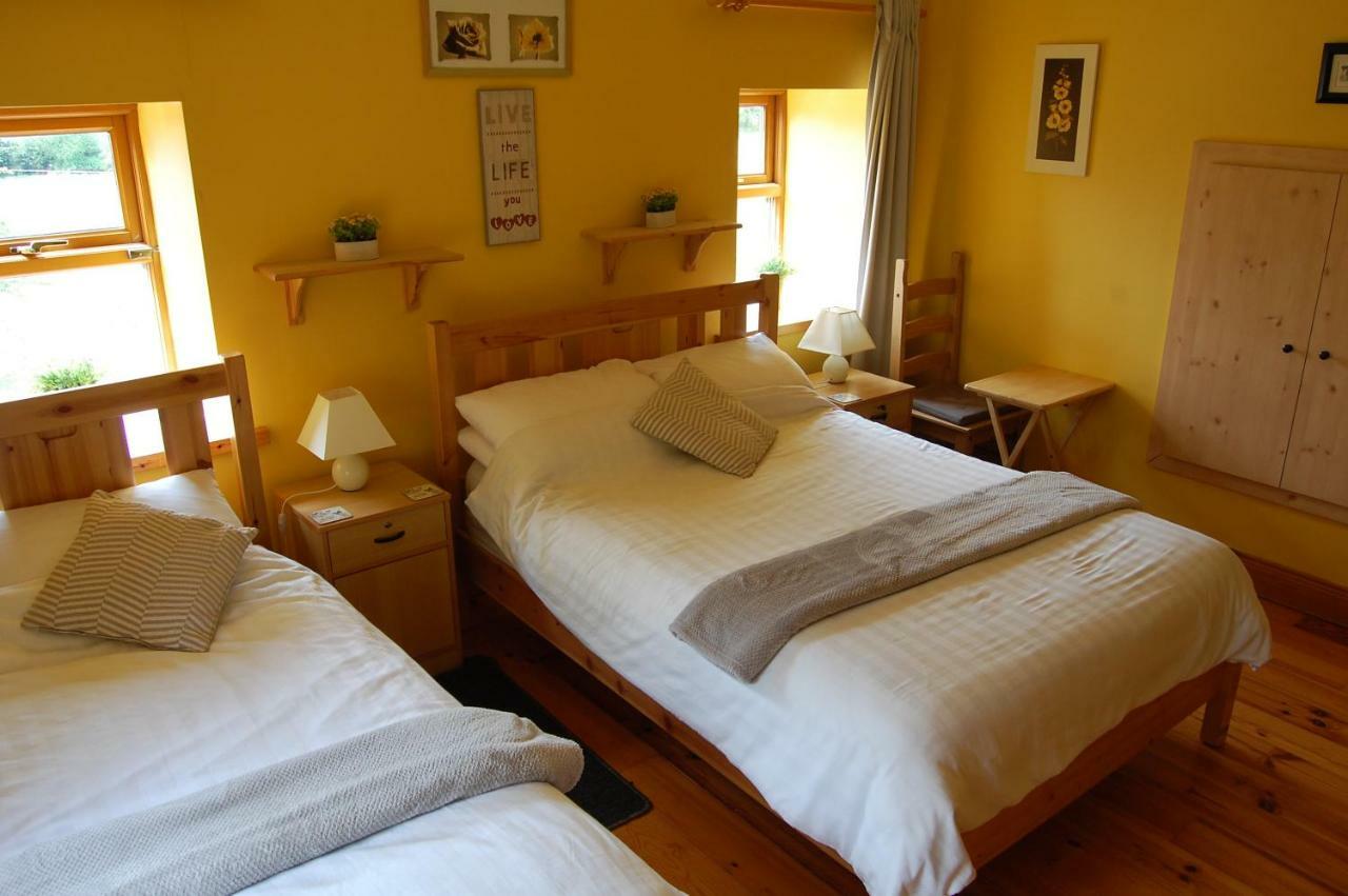Tinnycross House B&B Ballymore Eustace Kültér fotó