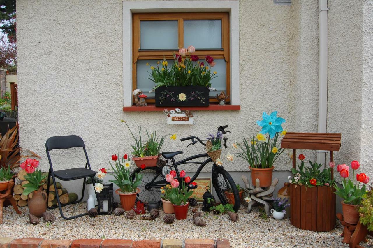Tinnycross House B&B Ballymore Eustace Kültér fotó
